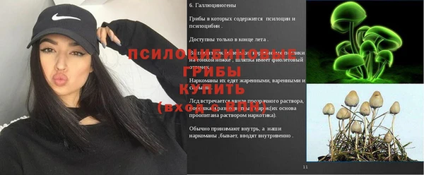 мяу мяу мука Кукмор