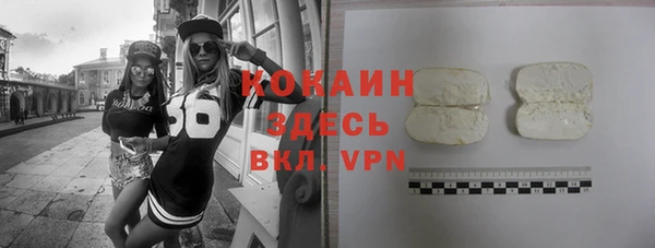 прущие грибы Богородицк