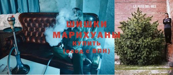 не бодяженный Бородино